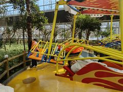 -南宫五洲植物乐园