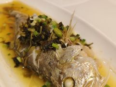 -老绍兴养和饭店(向阳不夜城店)