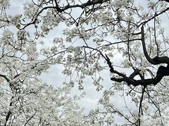 -江苏三台山国家森林公园