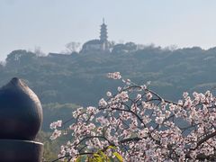 -苏州上方山国家森林公园