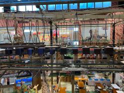 -卡通尼·Safari非洲探索乐园·生日会(金桥国际商业广场店)