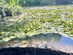 -竹泉村旅游度假区