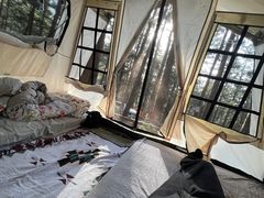 -重庆睡佛山森林公园