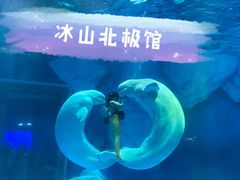 -上海海昌海洋公园-冰山北极馆