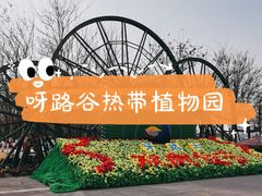 -呀路古热带植物园