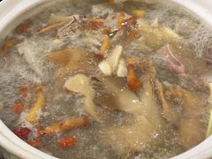 五指毛桃药膳鸽-鸽鸟轩(石岐店)