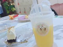 -Husky Go! 哈士奇体验馆·宠物咖啡厅狗咖