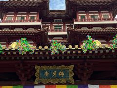 -新加坡佛牙寺龙华院