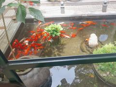 -野蔓果·山野菜(西湖景区·龙井茶田店)