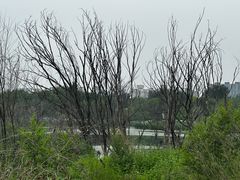 -绿堤公园