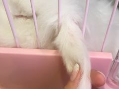 -藦茜花园宠物主题亲子互动体验馆(国顺东路店)