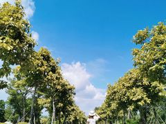 -琅岐红光湖公园