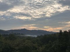 -浔味·山屿湖·正宗全鱼宴老字号