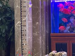 -新碧水留香新桑拿