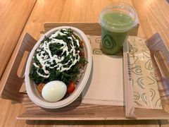 -油梨树AVOCADO TREE(望京店)
