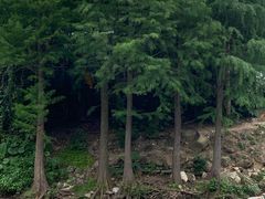 -马峦山郊野公园