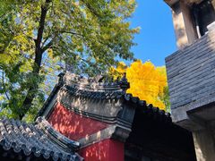 -嵩祝寺及智珠寺