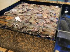 -高佳庄·舟山海鲜(海景旗舰店)