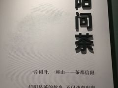 -信阳博物馆