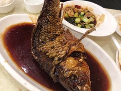 罾蹦鲤鱼-奥华餐厅·老张记(台基厂店)