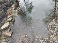 -凤凰山国家森林公园