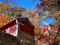 -北京上方山国家森林公园