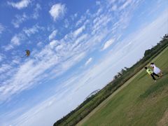 -春花秋色城市公园