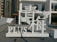 -青梅酒肆PLUS(长白仙岛北路店)