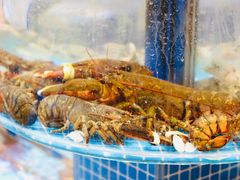 -好礼家海鲜•海肠捞饭大王(金沙滩念慈别墅店)