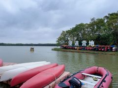 -上海海湾国家森林公园