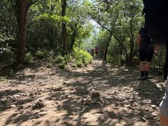 -阳台山自然风景区