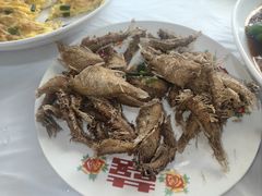 -小六农家乐(崇明西沙湿地店)