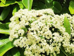 -汉景帝阳陵博物院