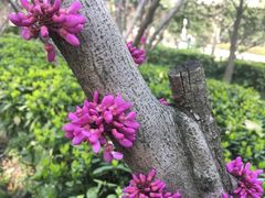 -苏州河梦清园环保主题公园