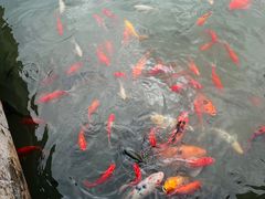 -绍兴大禹开元观堂-若耶厅