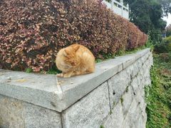 -宝通禅寺