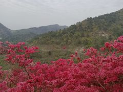 -木兰云雾山