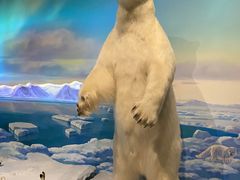 -陕西自然博物馆