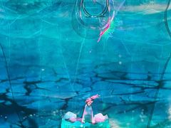 -重庆国际马戏城