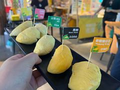 -榴莲BB 四季果园