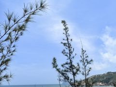 -广东惠东海龟国家级自然保护区