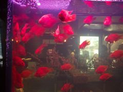 -亚马逊海鲜自助餐厅(惠山万达店)