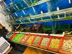 水产区-破店(井大店)