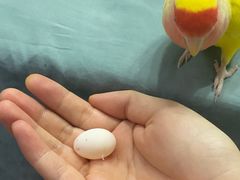 -雨林宠物医院 非犬猫异宠专科