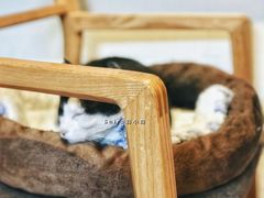 -猫的天空之城概念书店(杭州南宋御街店)