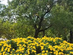 -上海市龙华烈士陵园