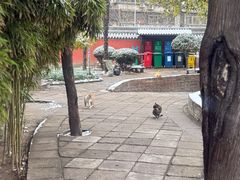 -万寿八仙宫