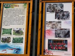 -璞真扎染博物馆