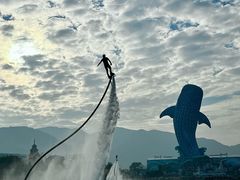 -珠海长隆海洋王国