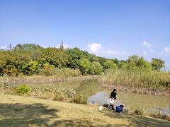 -吴淞炮台湾湿地森林公园烧烤区